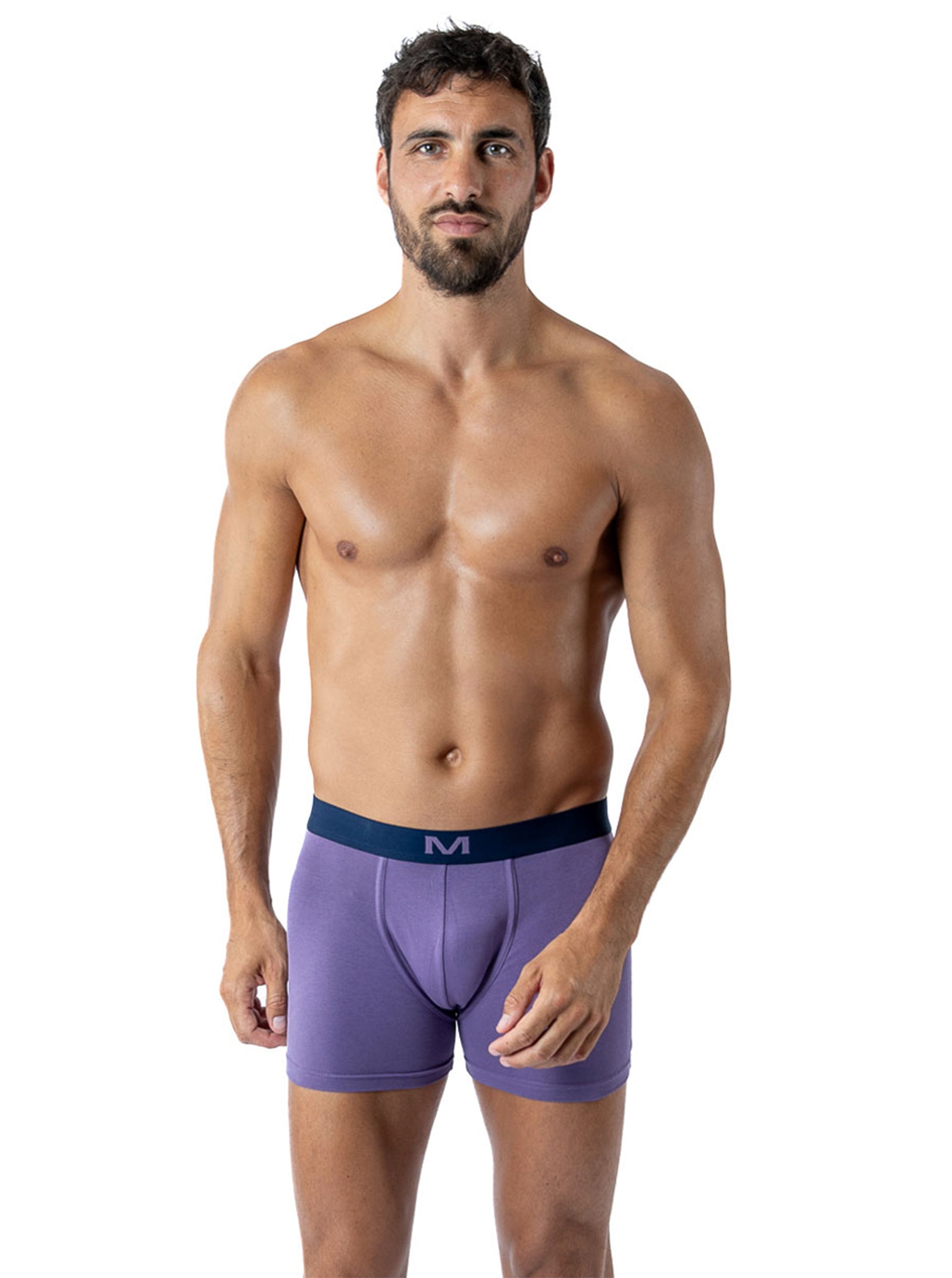 Lot de 3 Shortys en Coton BIO Stretch PRUNE/GRIS CHINE/IMPRIME H291.3