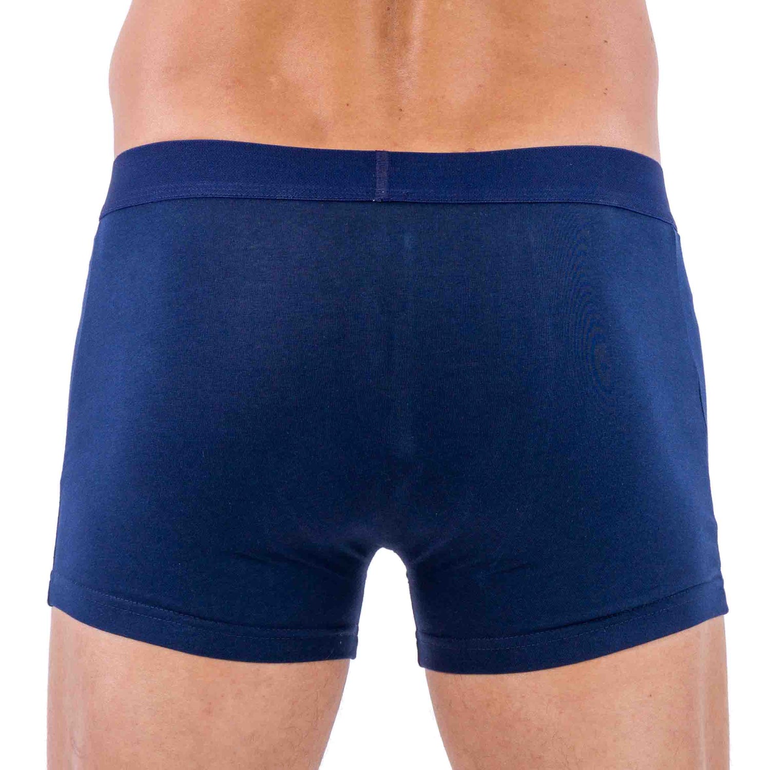 Vue arrière du shorty coton biologique stretch marine et gris imprimé, illustrant les motifs élégants et modernes.