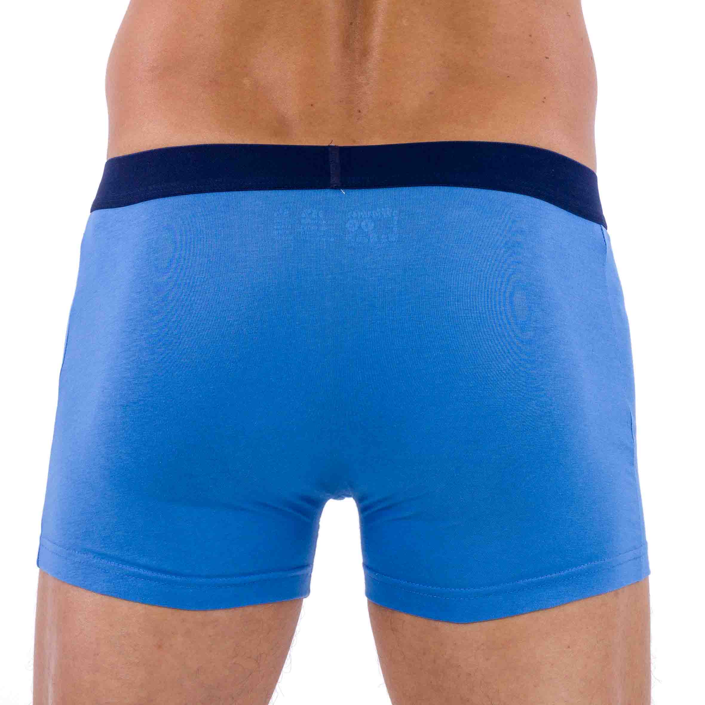 Lot 2 Shortys Coton Biologique Stretch - Marine et Gris Imprimé - Marine Blue Simple - Vue Back