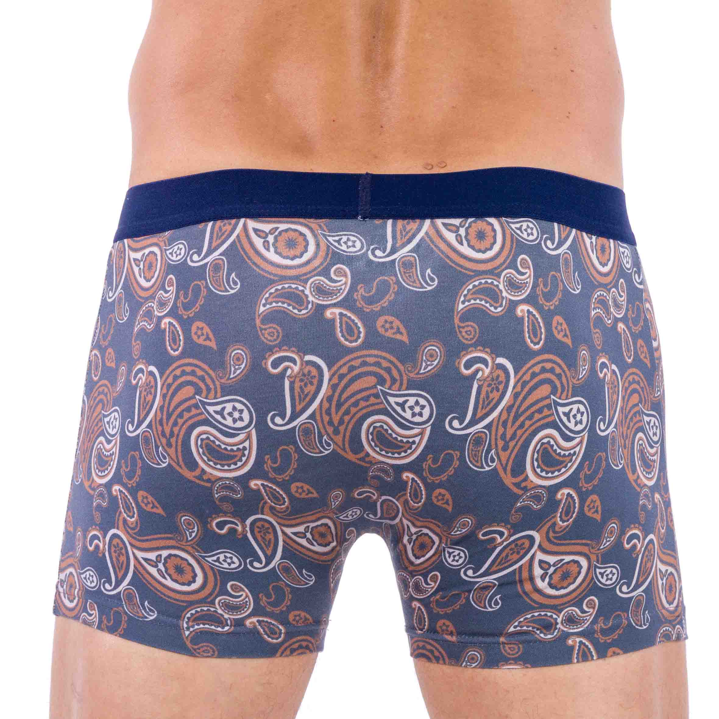 Lot de 2 Shortys en Coton BIOLOGIQUE Stretch ANTHRACITE D219.2
