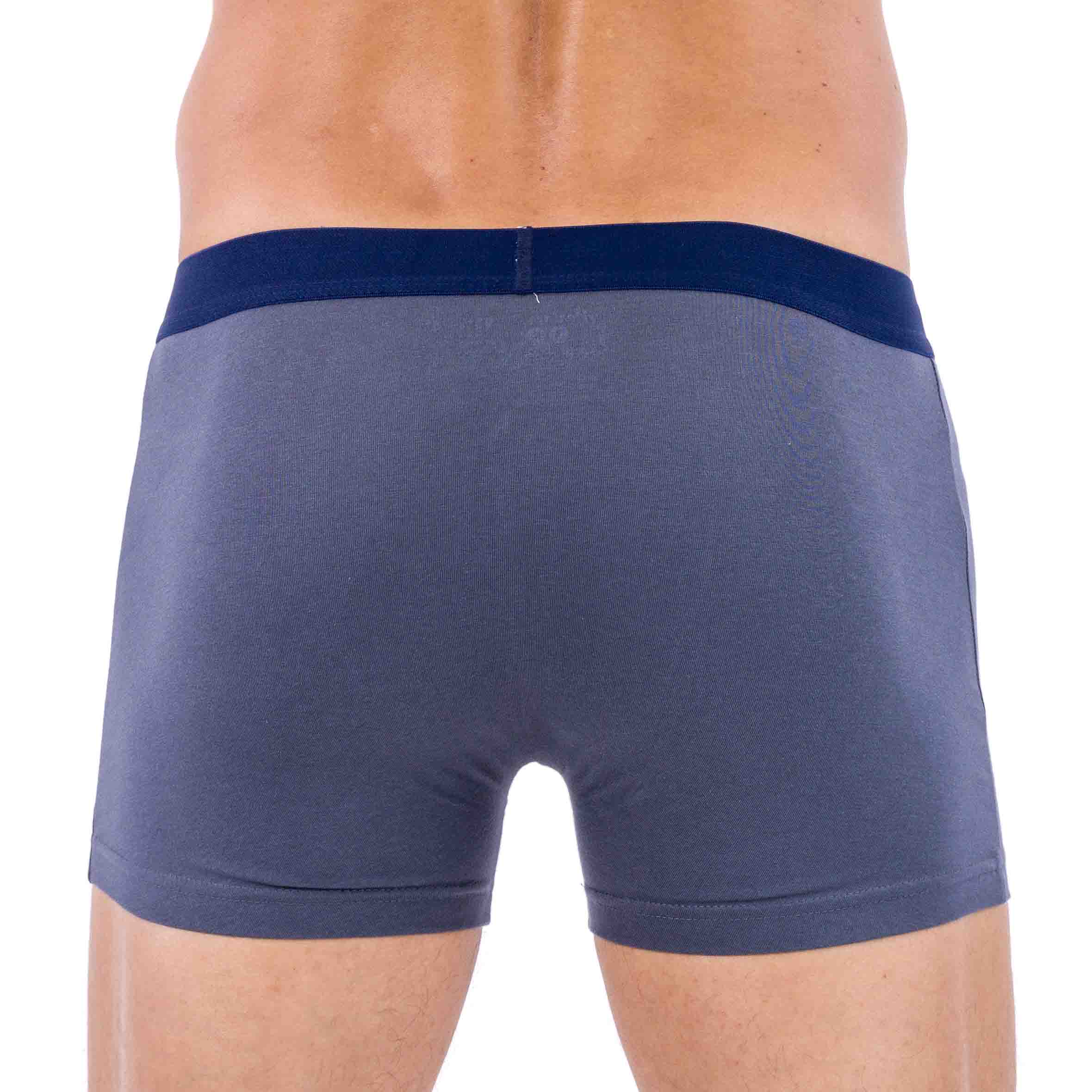 Lot de 2 Shortys en Coton BIOLOGIQUE Stretch ANTHRACITE D219.2