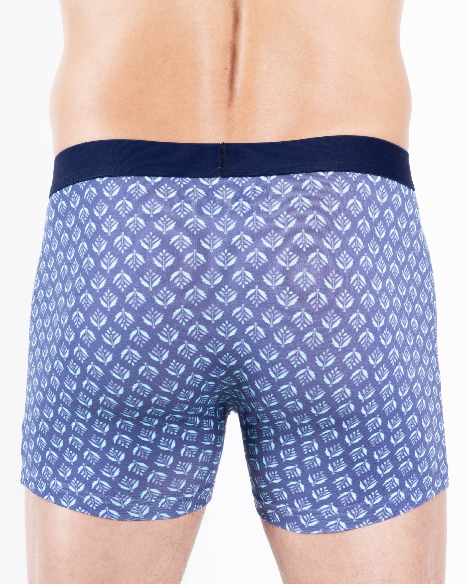 Lot de 2 Shortys en Coton BIOLOGIQUE Stretch BLEU LAGON E234.2