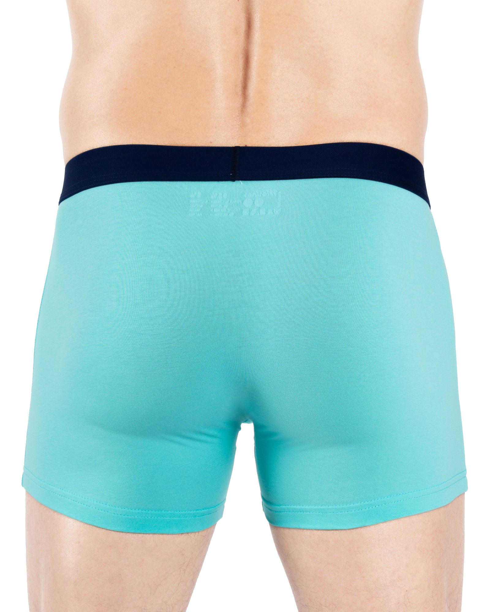 Lot de 2 Shortys en Coton BIOLOGIQUE Stretch BLEU LAGON E234.2