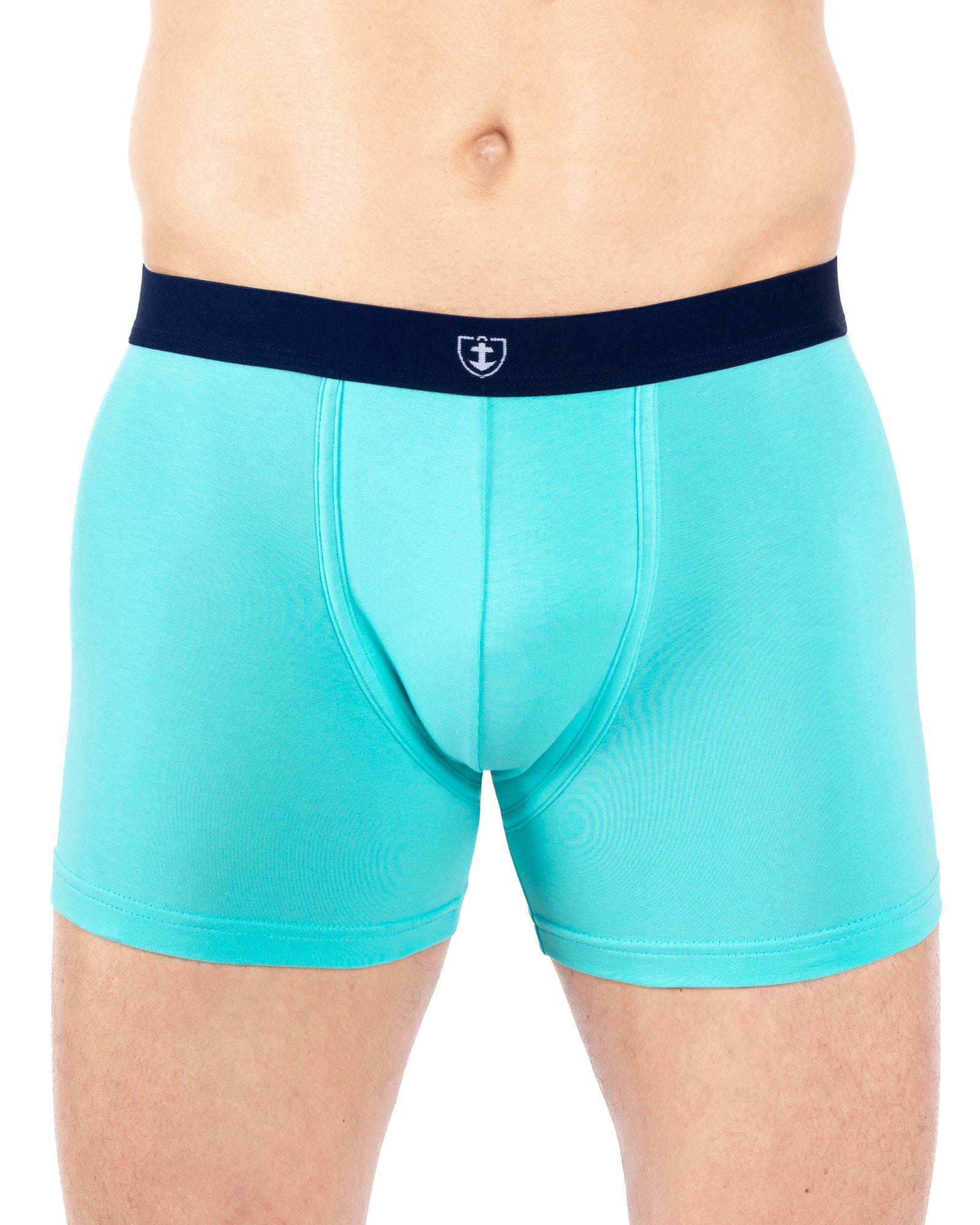 Lot de 2 Shortys en Coton BIOLOGIQUE Stretch BLEU LAGON E234.2