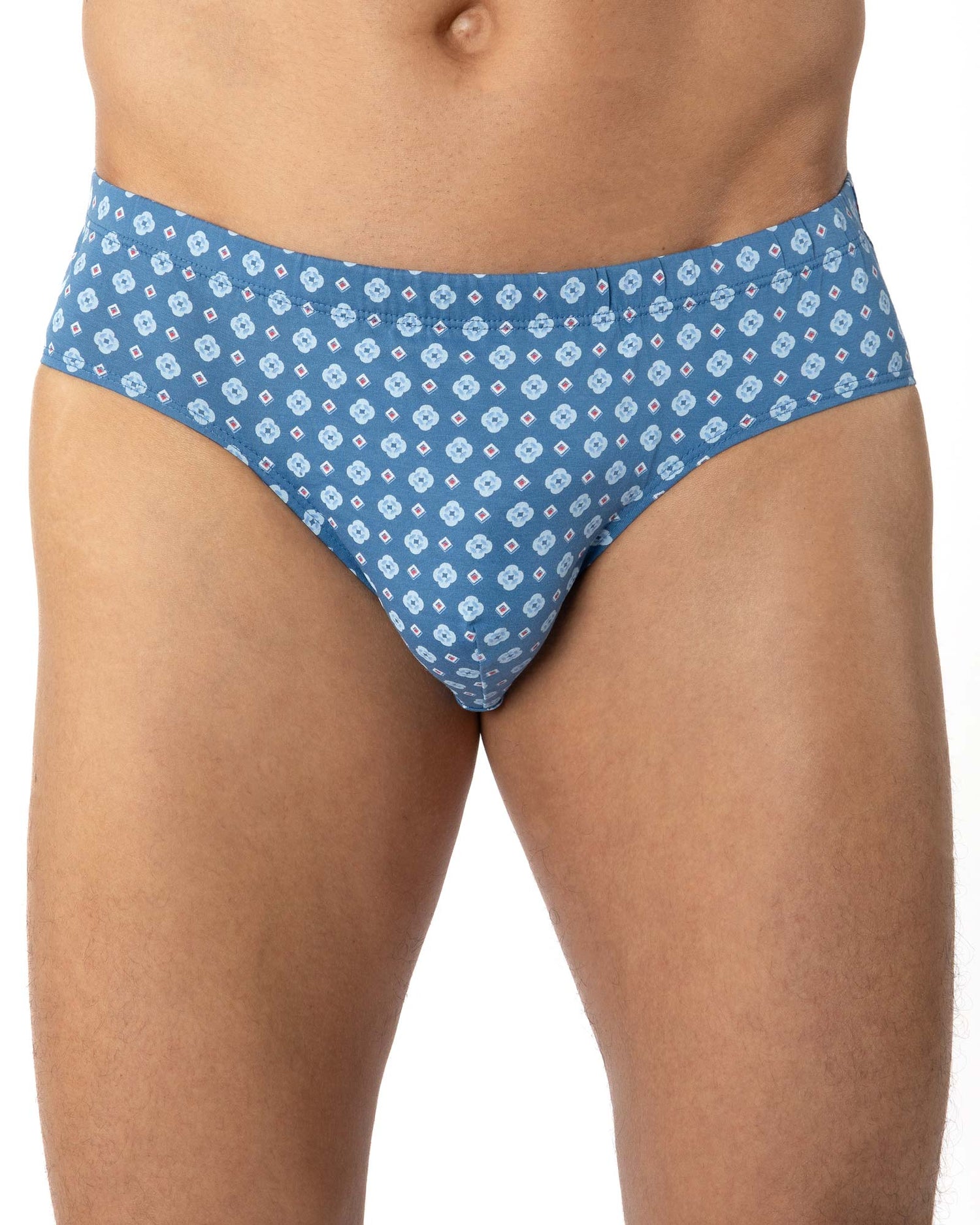 Lot de 2 Slips taille basse mercerisés imprimés Marine et Indigo G140.2