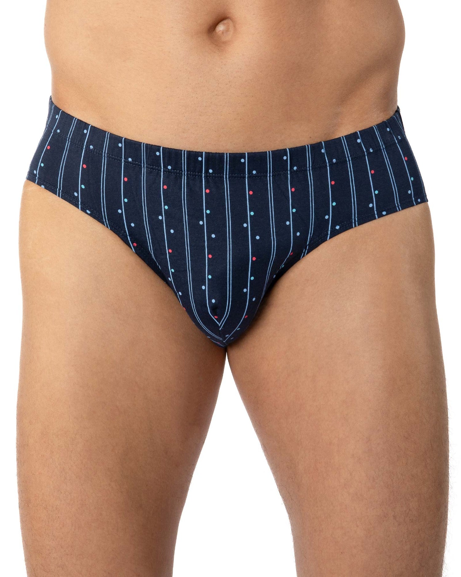 Lot de 2 Slips taille basse mercerisés imprimés Marine et Indigo G140.2