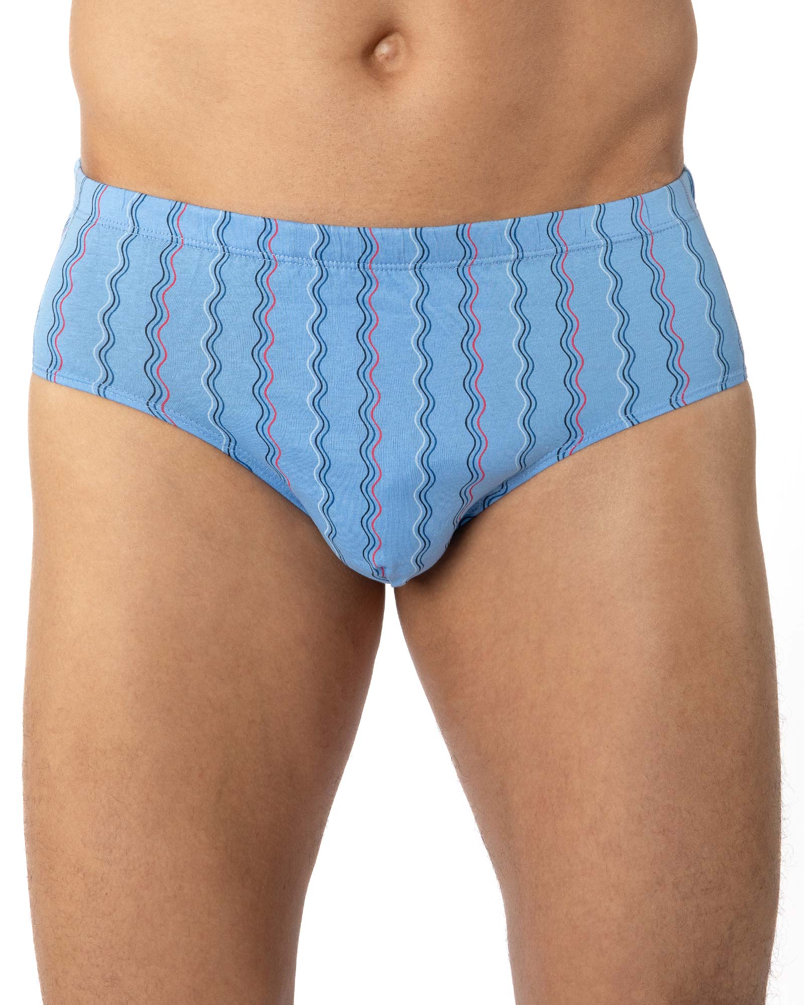 Lot de 2 slips taille haute fermé imprimés mercerisés marine et bleu mer G144.2