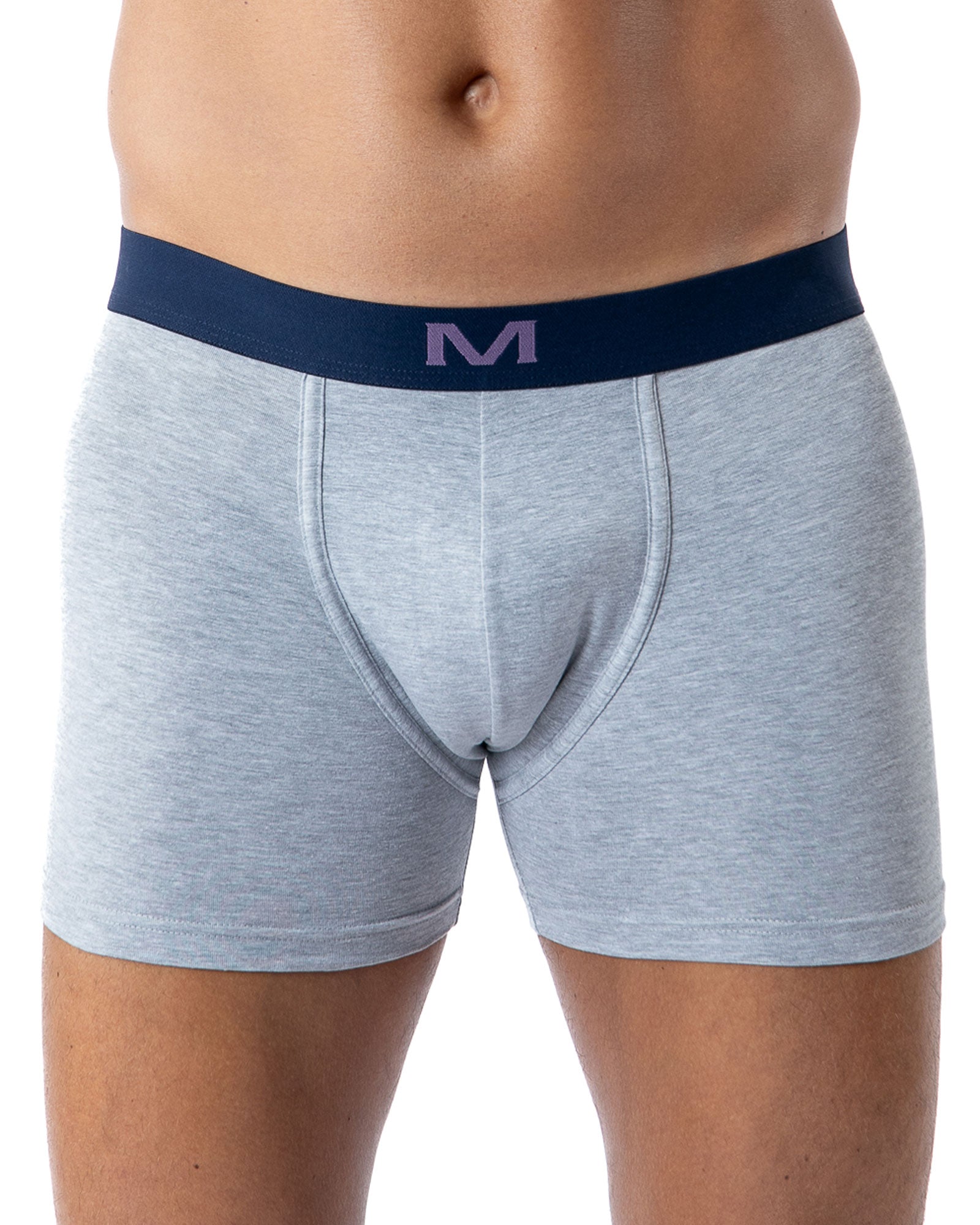 Lot de 3 Shortys en Coton BIO Stretch PRUNE/GRIS CHINE/IMPRIME H291.3