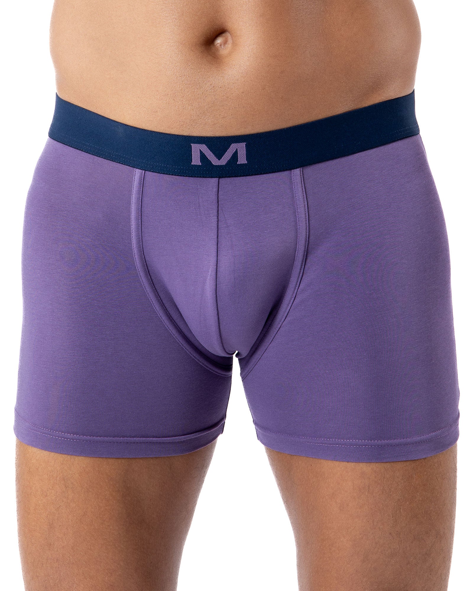 Lot de 3 Shortys en Coton BIO Stretch PRUNE/GRIS CHINE/IMPRIME H291.3
