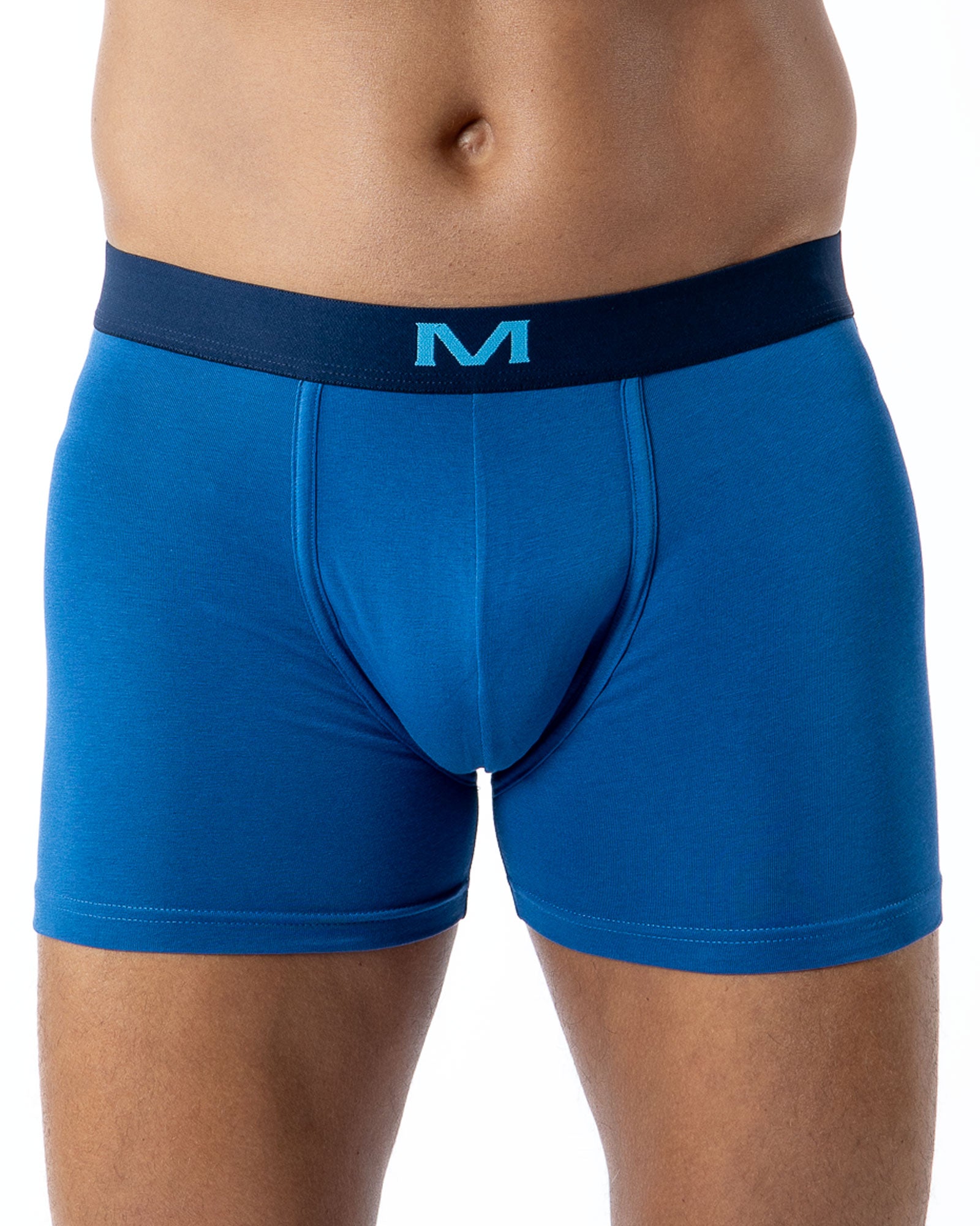 Lot de 3 Shortys en Coton BIO Stretch LAGON/INDIGO/IMPRIME H293.3