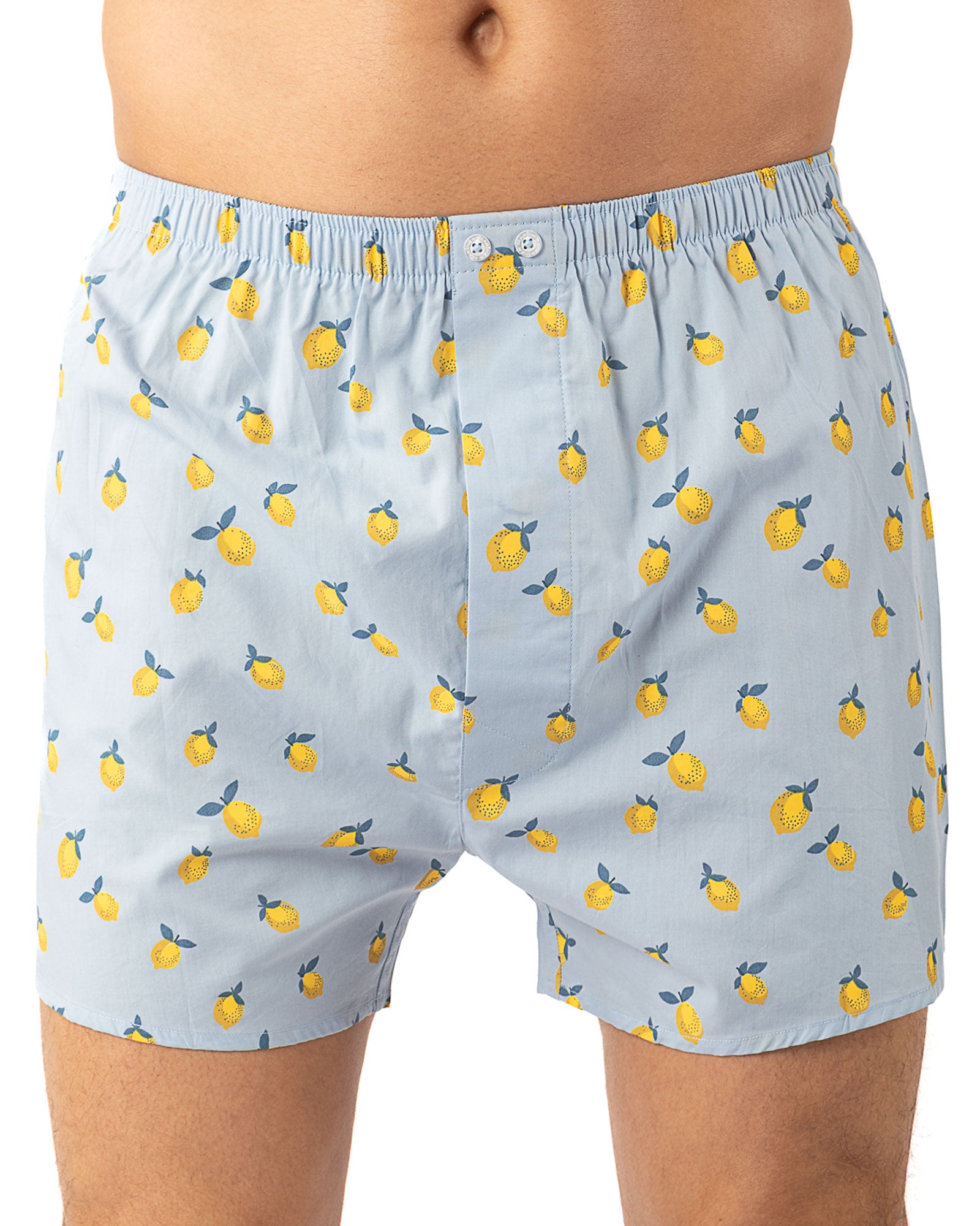 Set van 2 bedrukte en gestreepte popeline boxershorts van zuiver gekamd katoen I323.2