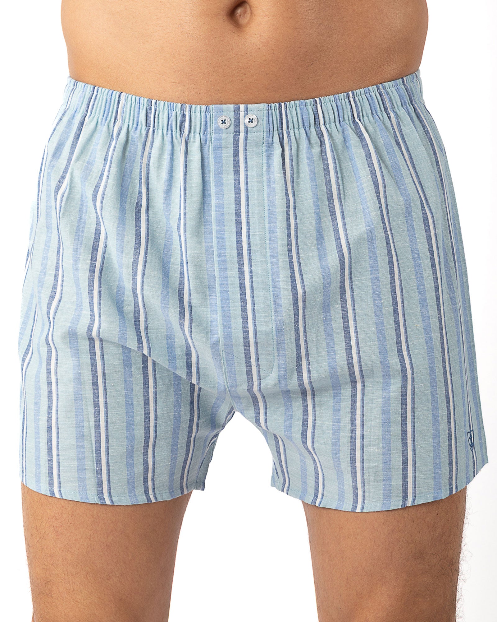 Set van 2 bedrukte en gestreepte popeline boxershorts van zuiver gekamd katoen I323.2