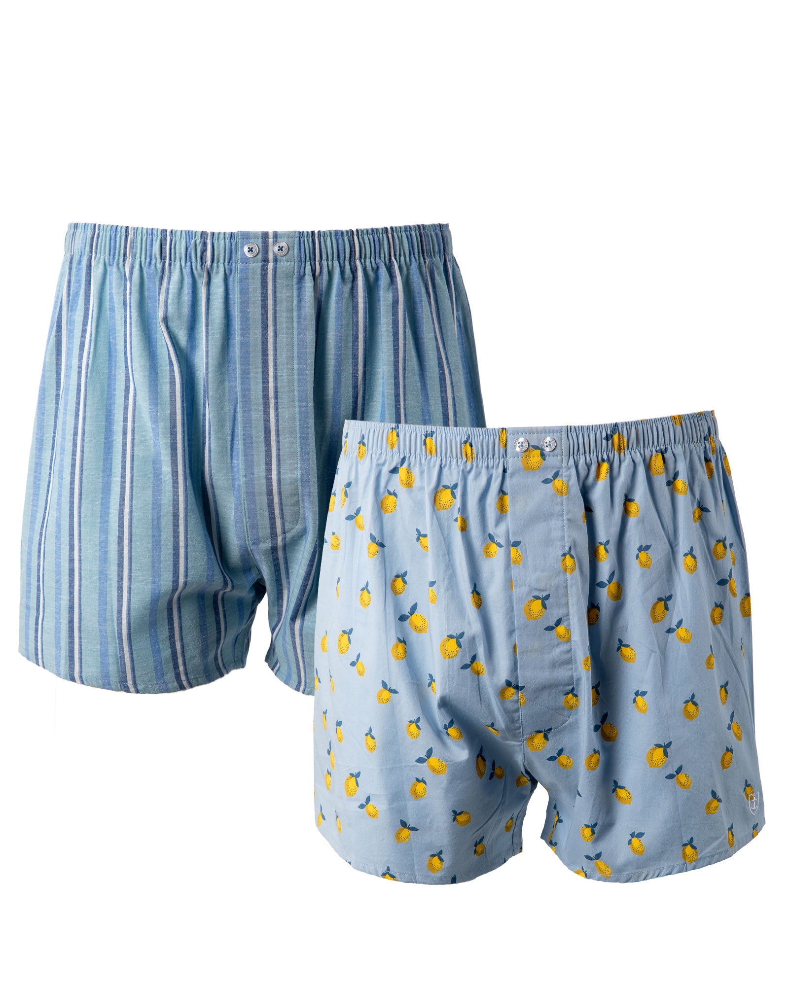 Set van 2 bedrukte en gestreepte popeline boxershorts van zuiver gekamd katoen I323.2