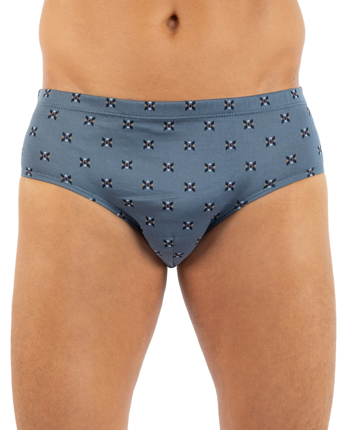 Lot x2 slips taille haute fermé imprimés mercerisés Bleu et Gris J116.2