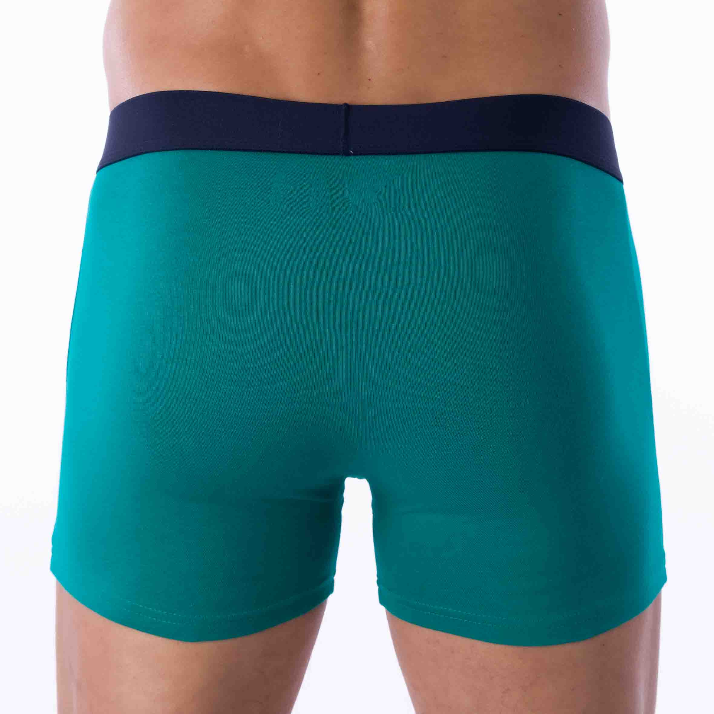 Lot de 2 Shortys en Coton BIO Stretch VERT Emeraude