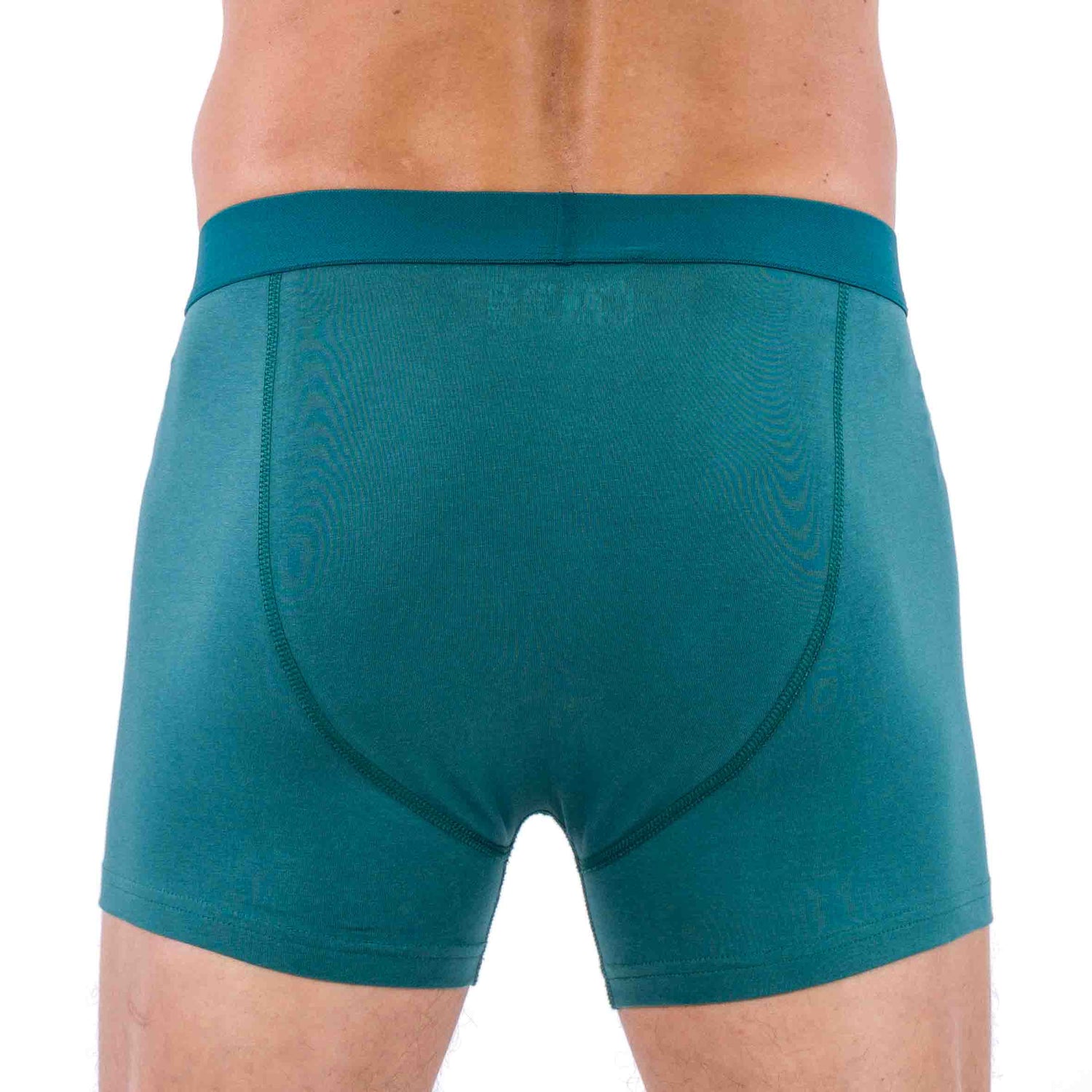 Sport Shorty in Stretch ORGANIC Cotton FORET GREEN