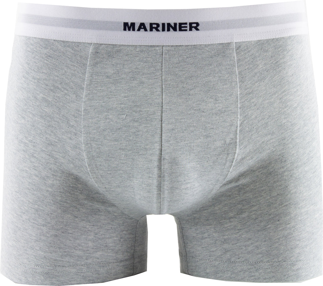 Shorty en Coton BIO Stretch GRIS CHINE 2025