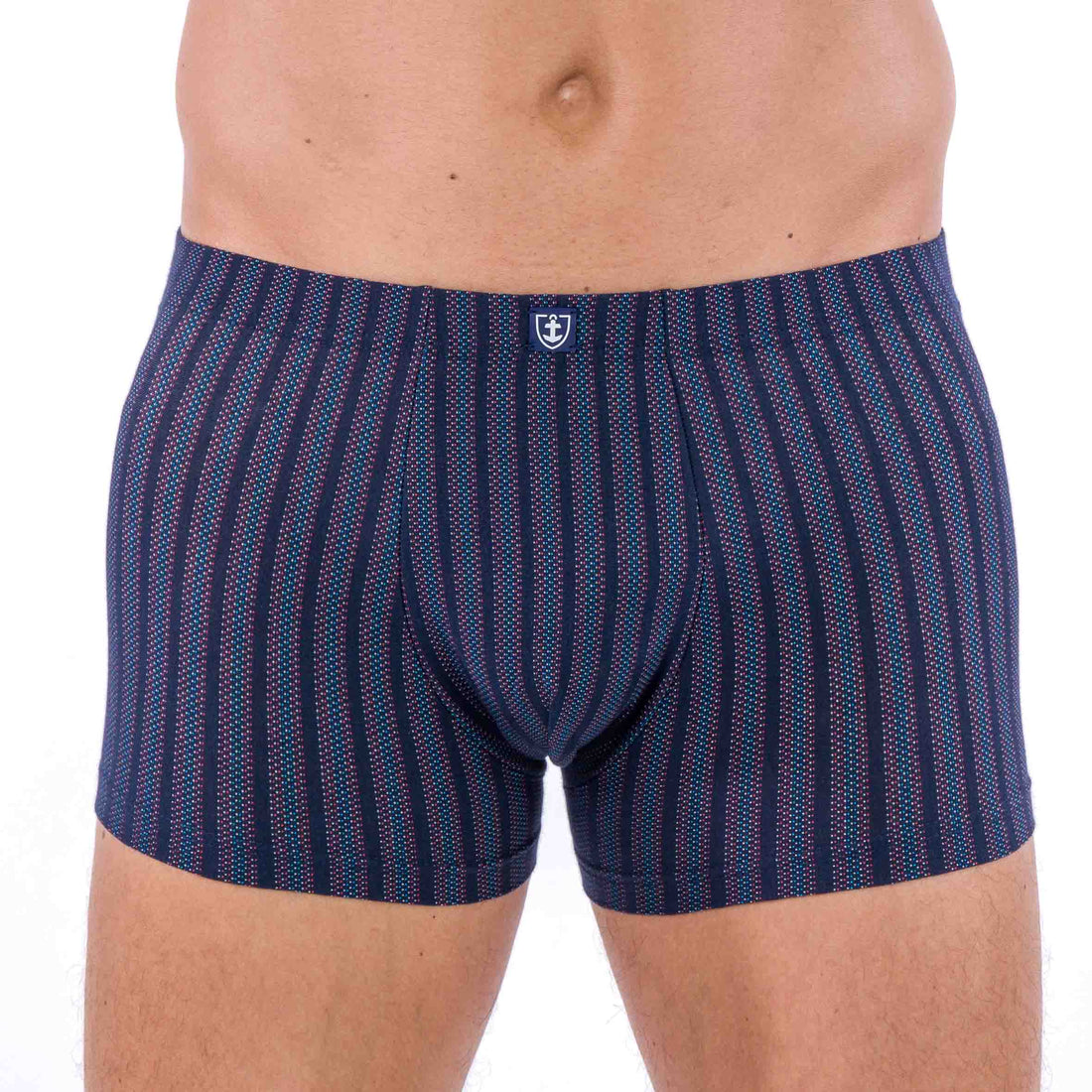 Shorty Ceinture Enrobée en Microfibre Motif Rayure Jacquard Marine D203