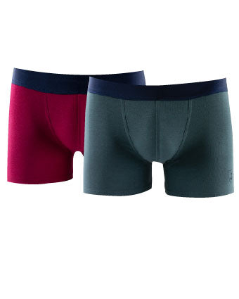 Pack of 2 Plain Shorties in Bamboo Viscose, Cotton and Elastane