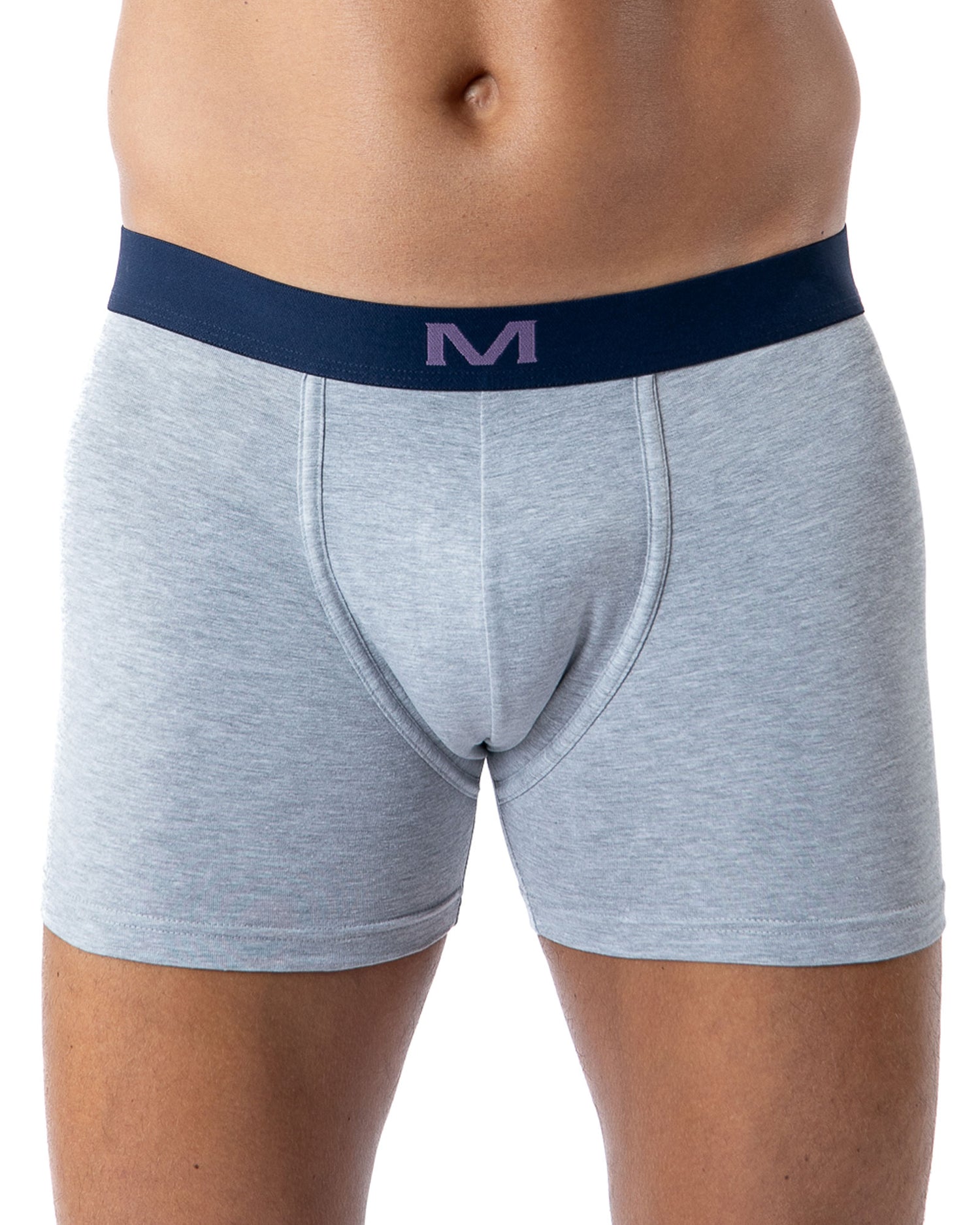 Lot de 3 Shortys en Coton BIO Stretch PRUNE/GRIS CHINE/IMPRIME H291.3