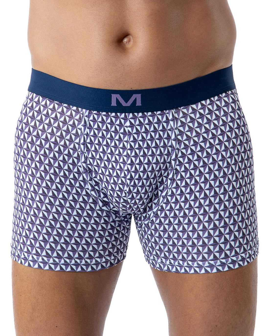 Lot de 3 Shortys en Coton BIO Stretch PRUNE/GRIS CHINE/IMPRIME H291.3