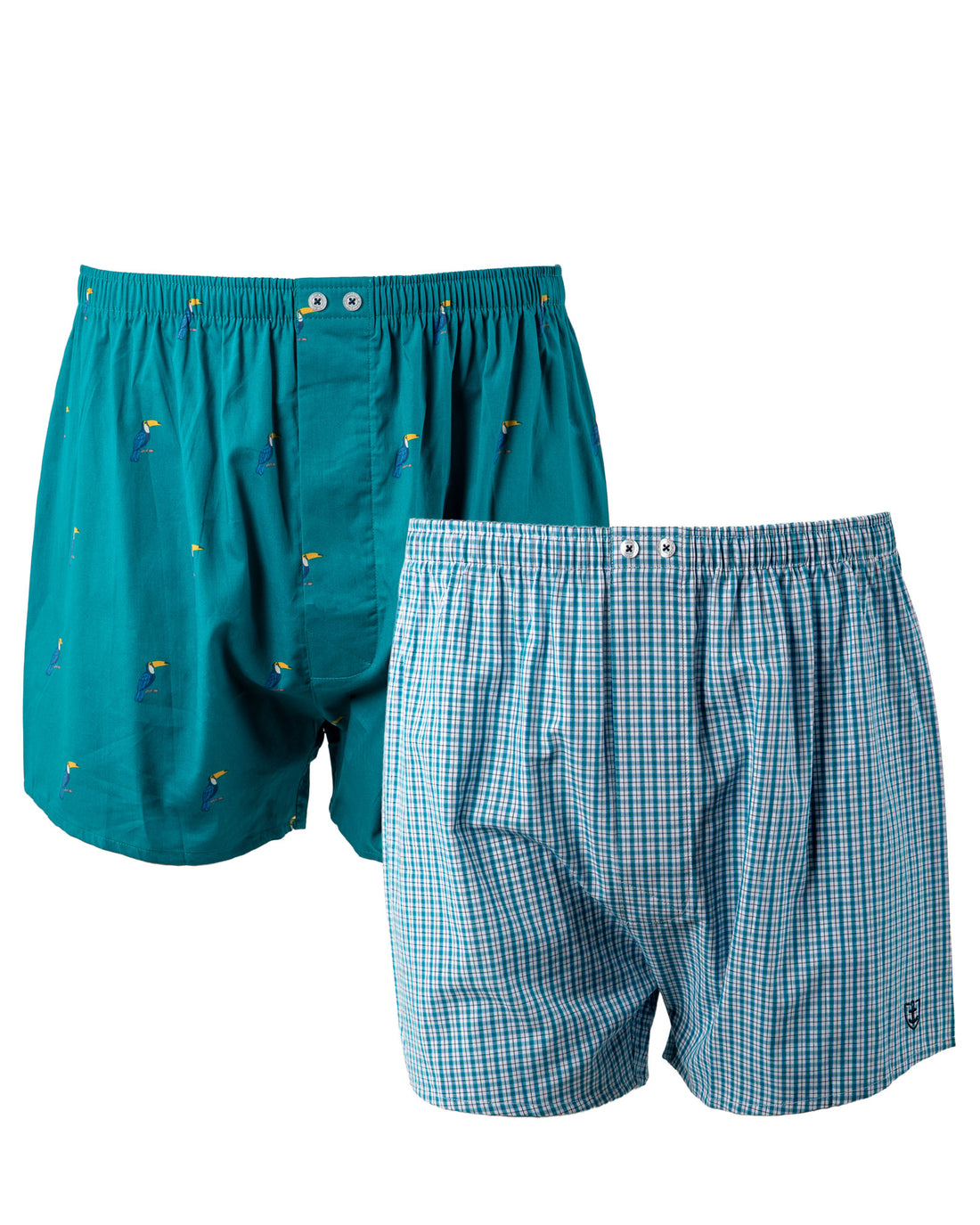 Lot de 2 caleçons en popeline de pur coton peigné petits carreaux et imprimé I309.2