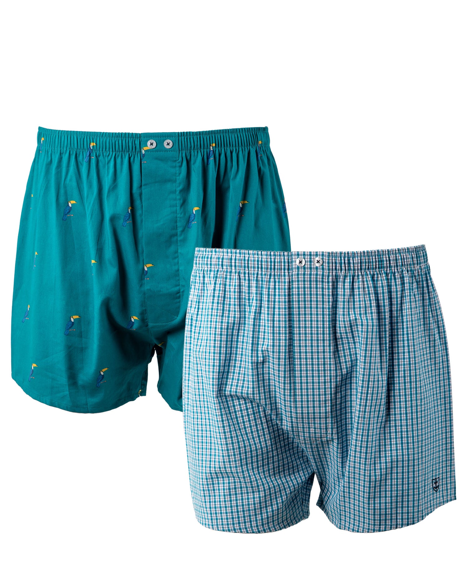 Lot de 2 caleçons en popeline de pur coton peigné petits carreaux et imprimé I309.2