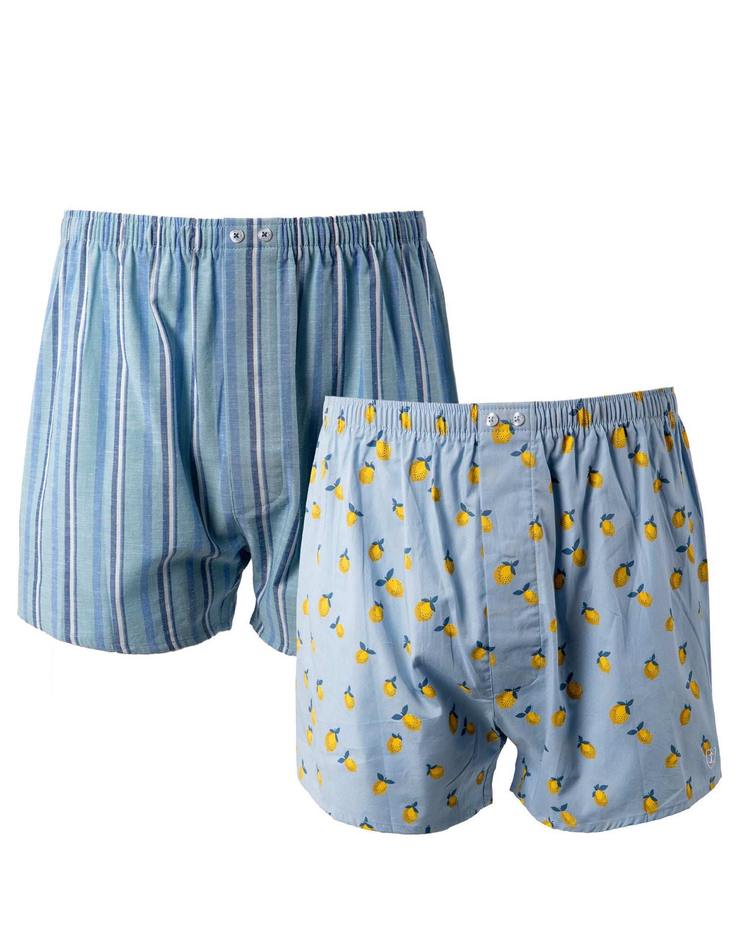 Lot de 2 caleçons en popeline de pur coton peigné imprimé et à rayures I323.2