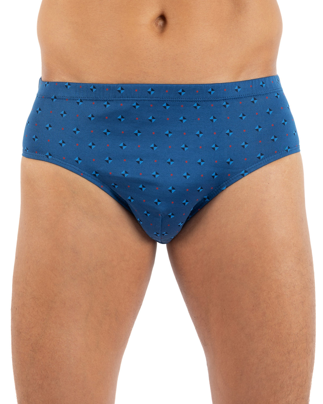 Lot x2 slips taille haute fermé imprimés mercerisés bleu J114.2