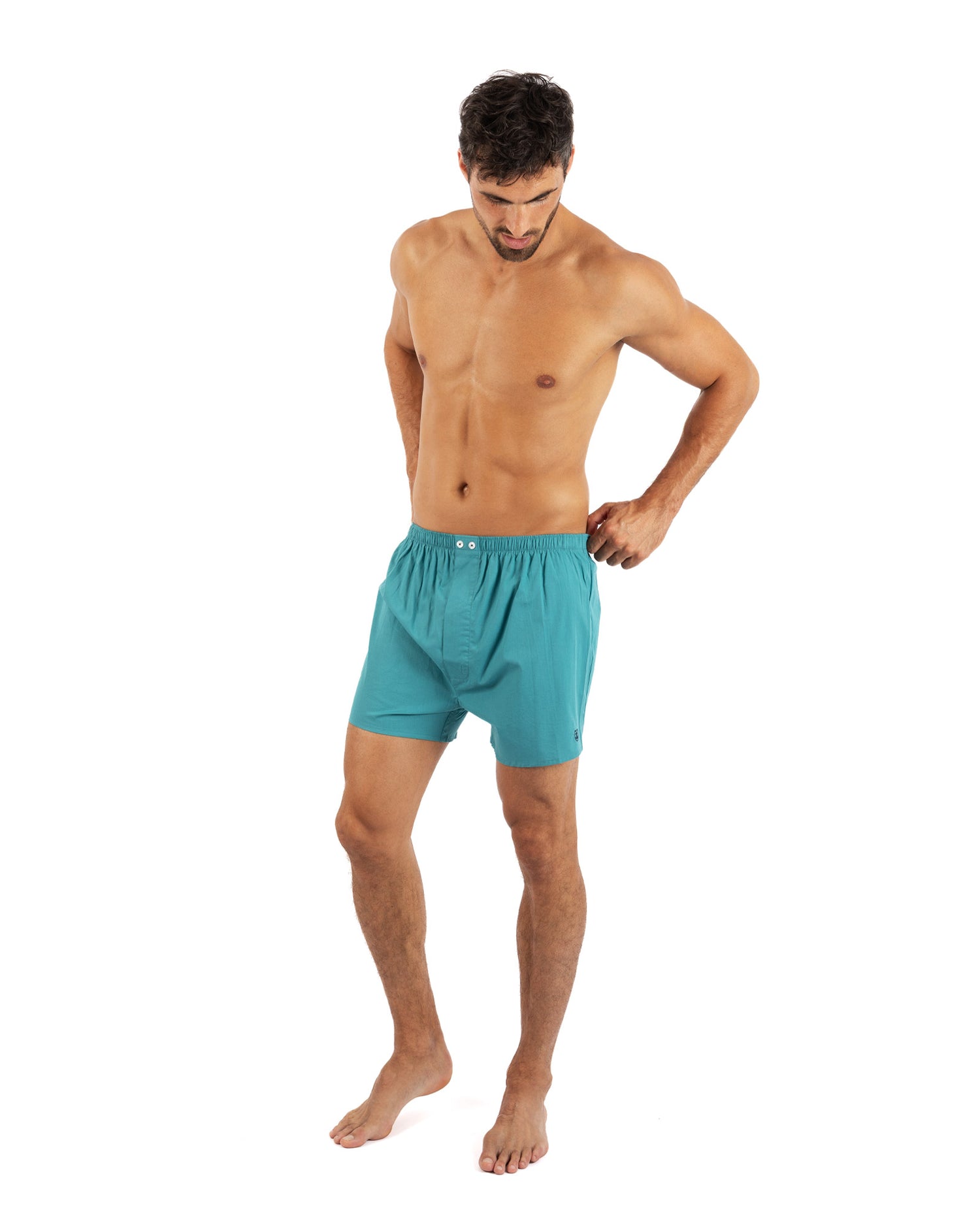 Set van 2 bedrukte en gestreepte popeline boxershorts van zuiver gekamd katoen I323.2