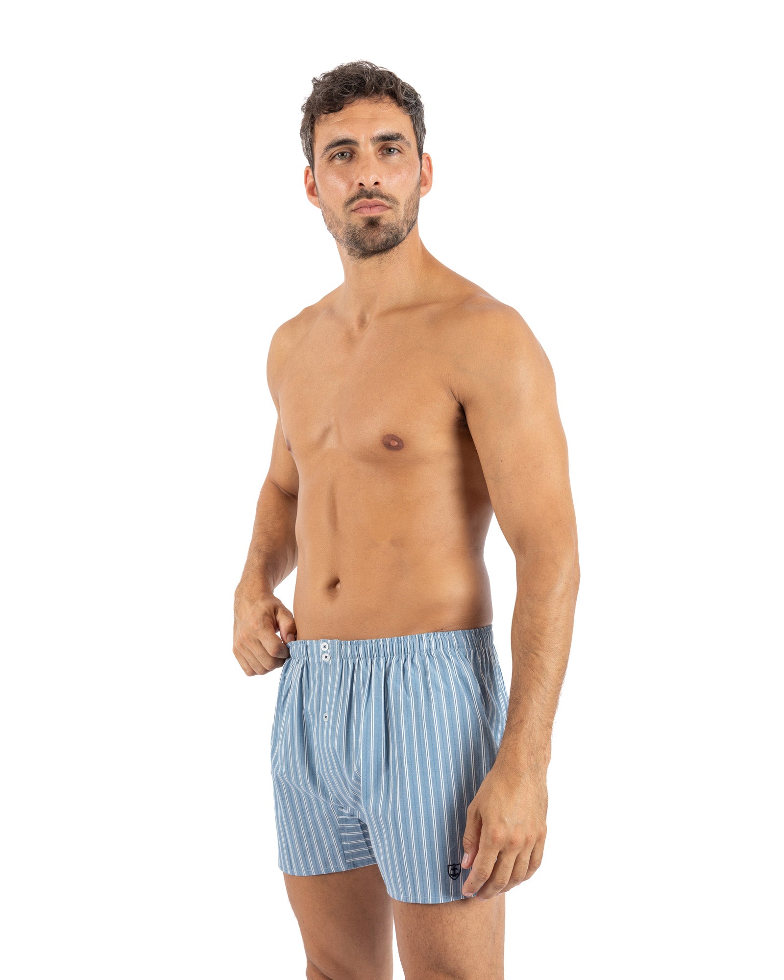 Set van 2 bedrukte en gestreepte popeline boxershorts van zuiver gekamd katoen I323.2