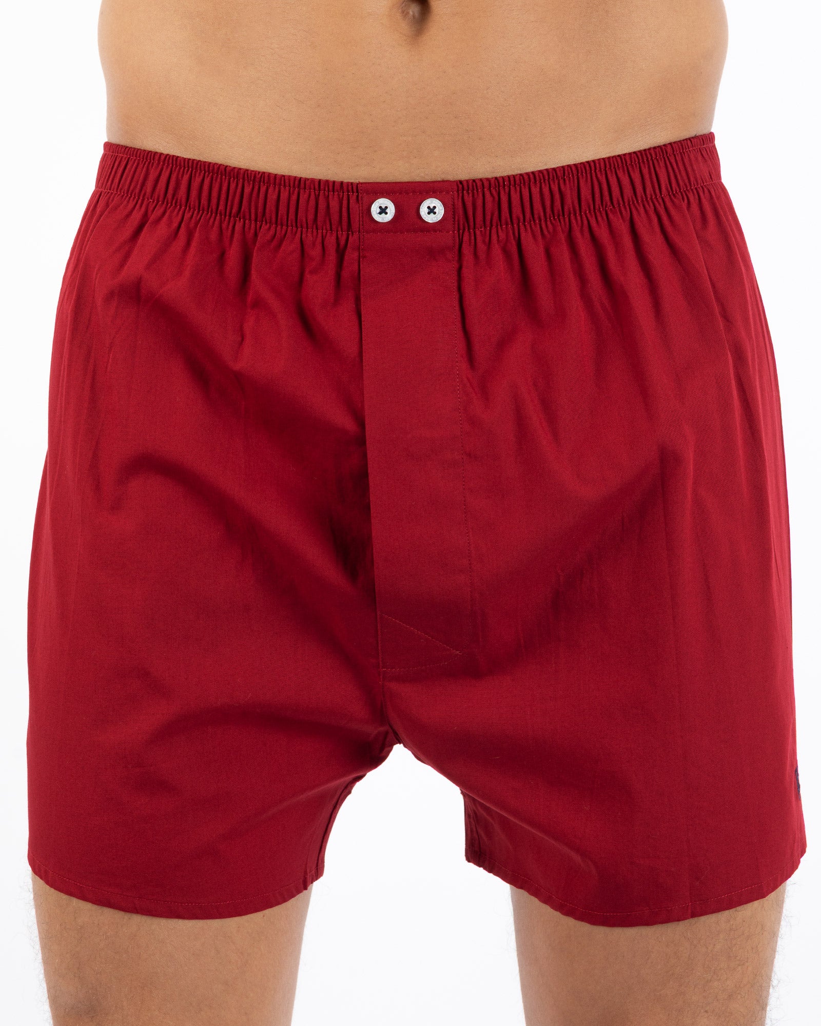 Set van 2 bedrukte en gestreepte popeline boxershorts van zuiver gekamd katoen I323.2