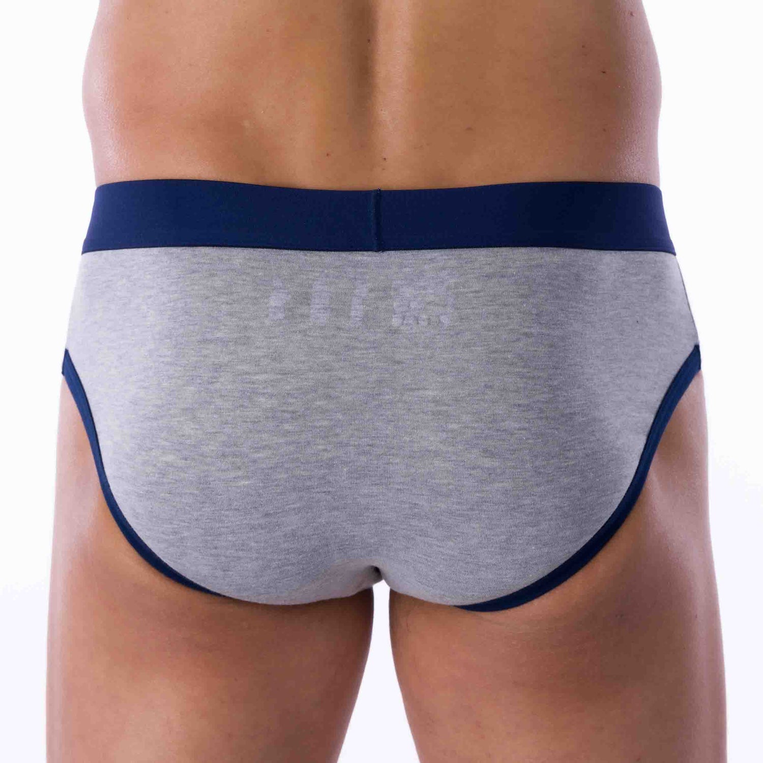 Pack of 2 Low-Rise Briefs in Organic Stretch Cotton Navy and Heather Gray